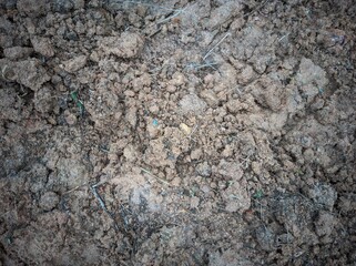 A soil ready for planting, photos of filled soil, soil texture	