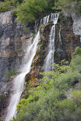 Obraz premium waterfall in the forest