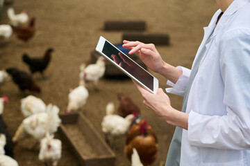 Hands of young unrecognizable female veterinarian with tablet studying nutrition quality...