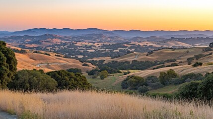 Obraz premium Golden hour vista of undulating hills and expansive valleys, bathed in warm sunlight, creating a serene landscape that invites tranquility and reflection.