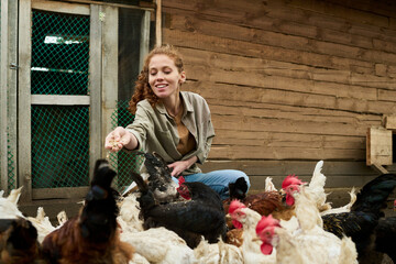 Smiling female farmer sitting on squats against door of wooden coop and pouring oat while hungry...