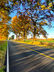 Obraz premium Fall Day Country Road