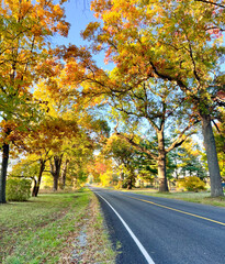 Obraz premium Beautiful Fall Day 