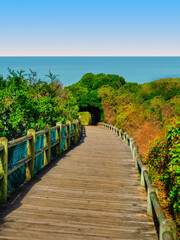 Vertical view of trees overhanging a wooden walkway in Simon's Town, Cape Peninsula, South Africa