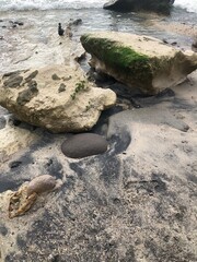 beach with rocks, clear ocean water
