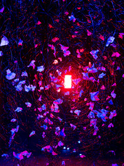 Abstract decoration with red light, blue papers and wires.