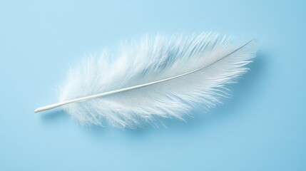 Obraz premium Isolated feather on a light blue background, symbolizing softness and tranquility, with ample negative space.