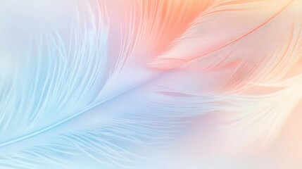Soft Feather with Gentle Pastel Colors on Smooth Background