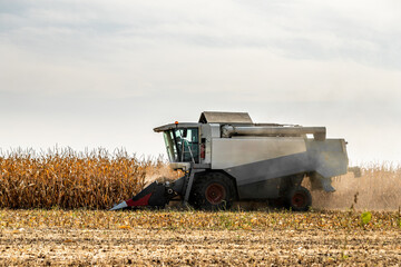 Fototapeta premium Combine harvester at work in a dry corn field under a cloudy sky