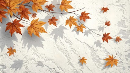 Obraz premium autumn leaves background