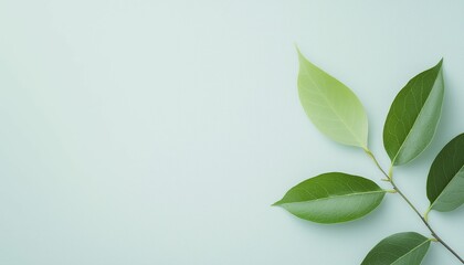 Obraz premium Business Finance liquidity analysis financial reports, elegant professional style, green and white, top view focus, with abstract data visualization background.