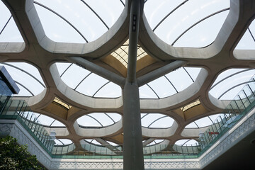 Interior window design in Airport. Unique flower shaped glass roof architecture in airport. Large...