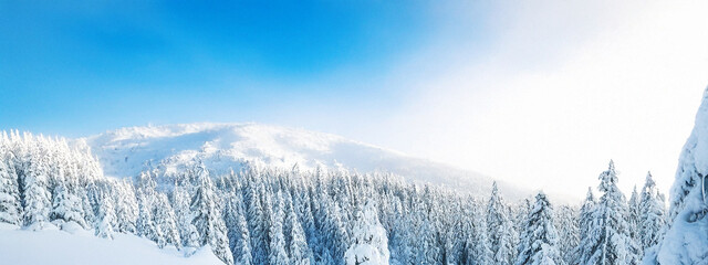 A tranquil winter landscape with snowy mountains covered in vast pine forests. The sky is wide, the snowy winter scenery and the ground covered with fresh snow make you feel the greatness of nature.