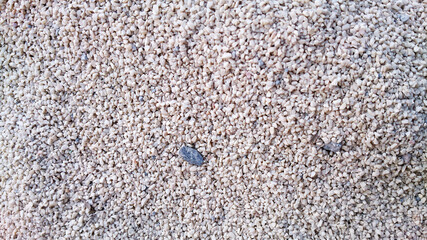 texture of the white sand