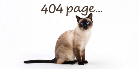 Creative 404 Error Page Design for Websites, Blogs, or Marketing Campaigns