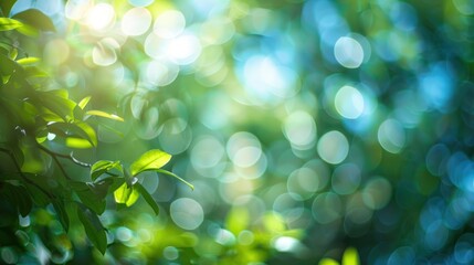 Obraz premium Blurred abstract texture for use in graphic design and digital art telephoto lens summer daylight cool color