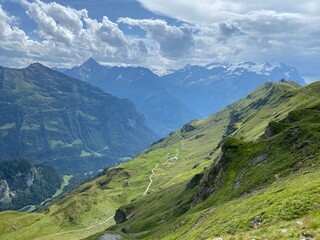Alpine meadows and pastures on the slopes of the Uri Alps mountain massif, Melchtal - Canton of Obwalden, Switzerland (Kanton Obwald, Schweiz)