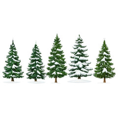 Fototapeta premium Winter snow-covered evergreen trees arranged in a variety of sizes and shapes