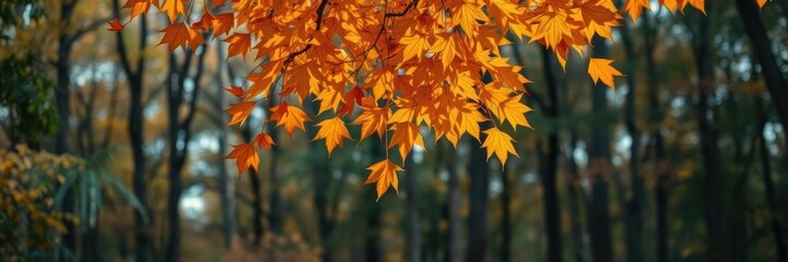 Autumn leaves gently falling from a tree in a forest setting, environment, brown