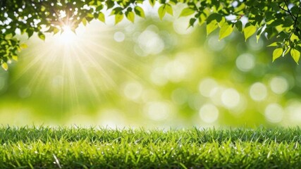 Obraz premium A vibrant green background perfectly captures the essence of a sunny summer day, creating a refreshing and invigorating atmosphere, atmosphere, sunlight