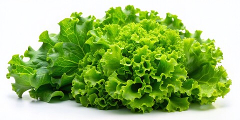 Obraz premium Night Photography of Fresh Green Leaf Lettuce Isolated on White Background, Capturing the Crisp Texture and Vibrant Color Under Low Light Conditions