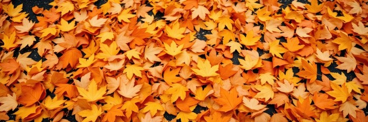 Fototapeta premium Vibrant orange and yellow leaves scattered on the ground during autumn season, forest, woodland