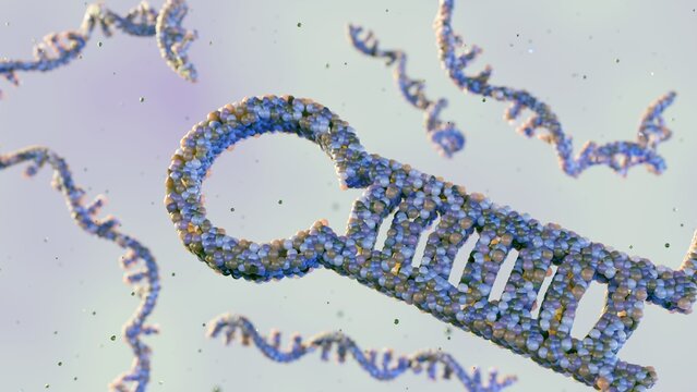 Short hairpin RNA (shRNA) is a synthetic RNA molecule that can silence gene expression through RNA interference; 3d rendering