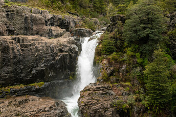 waterfall in the forest
