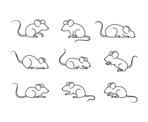 Fototapeta premium A Collection of Professional Vector Mouse Poses Template