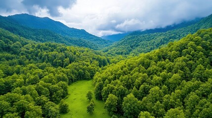 Obraz premium Stunning vista of a lush verdant mountain landscape with a winding valley path inviting viewers to explore the natural beauty and serenity of the great outdoors