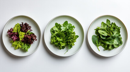 Fototapeta premium Fresh salad greens arranged on three plates, showcasing vibrant colors and textures. variety includes red leaf lettuce, green leaf lettuce, and spinach, perfect for healthy meals