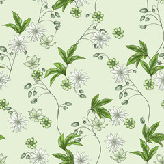 Floral seamless pattern of delicate and charming floral and leaves with a vintage aesthetic in shades of green on a soft green background