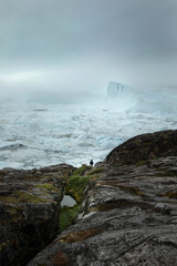 Person looking over the Icefjord in Ilulisat, Greenland, Sermeq Kujalleq glacier © PetraJPhoto