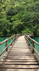 Fototapeta premium A peaceful wooden footbridge crossing a calm river in a lush green forest, river, tranquil, greenery