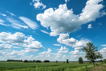 A Summer Day's Expansive View of a Lush Green Field Under a Vivid Blue Sky Adorned with Puffy White Clouds
