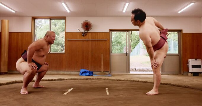 Training, sumo wrestler and stretching with practice in ring for match fitness, traditional exercise and warm up. Japanese people, man and instructor with squats for flexibility workout and shiko
