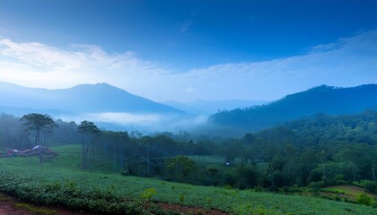 Fototapeta premium Panoramic view of mountains and clouds with green forests and grassy valleys