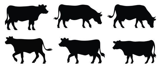 Cow Silhouettes in Various Poses, Including Grazing on Meadow.