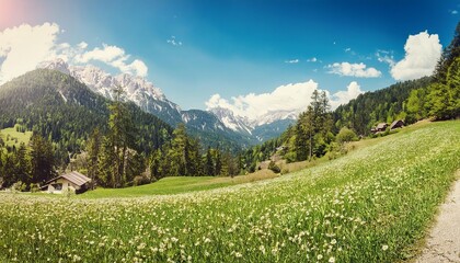 Obraz premium Breathtaking alpine meadow nestled amidst towering mountains, a picturesque panorama of nature's beauty