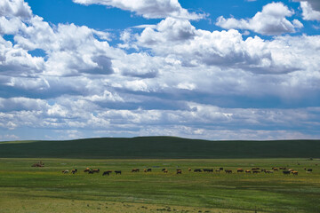field and blue sky