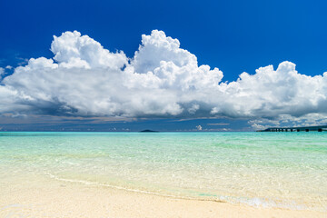 Fototapeta premium 青い海に浮かぶ積乱雲