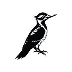 Obraz premium Woodpecker silhouette in vector form, striking against a clean white background.