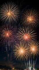 Obraz premium fireworks in the night sky