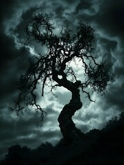 Twisted Spooky Tree Silhouette Against Stormy Moody Dramatic Sky