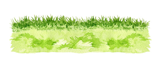 Green grass background watercolor illustration. Lush grass close up countryside landscape, meadow, field, lawn element. Fresh herbs and natural plants floral illustration isolated on white background