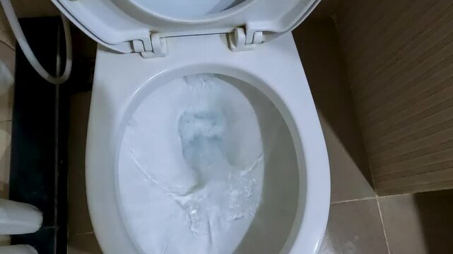 Cloudy urine in the toilet is being flushed