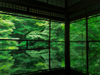 Naklejka premium 新緑の季節の瑠璃光院 japan kyoto