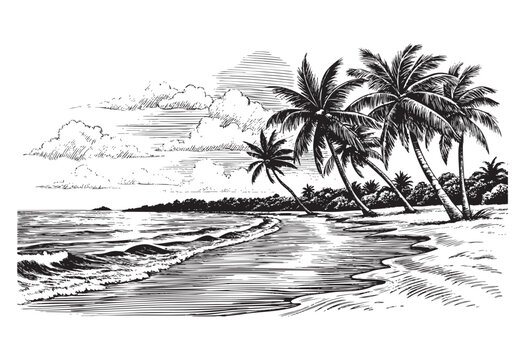 beach scene sketch engraving drawing hand drawn vector illustration