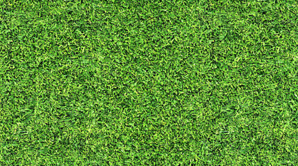Fototapeta premium A vibrant green grass texture, showcasing a lush and dense appearance, ideal for landscaping or outdoor design.