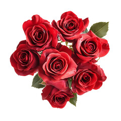 bouquet of roses On a white background